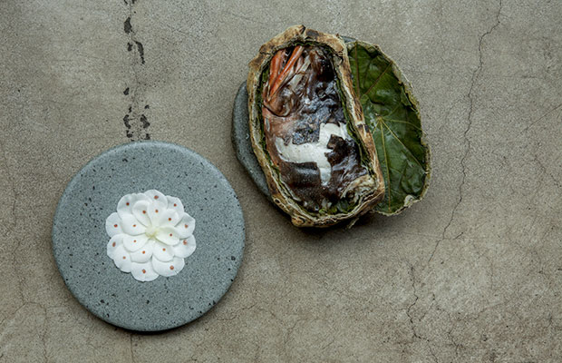 Borago-WORLD-2018-DISH2