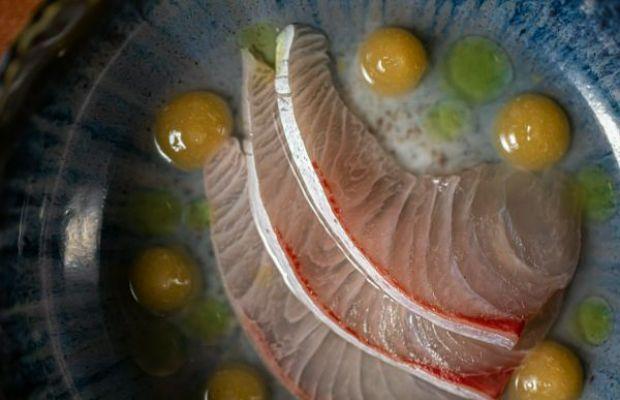 Maido