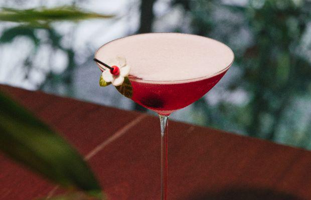 Mizunara: The Library