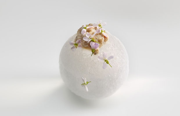 Mugaritz-World-2018-dish2