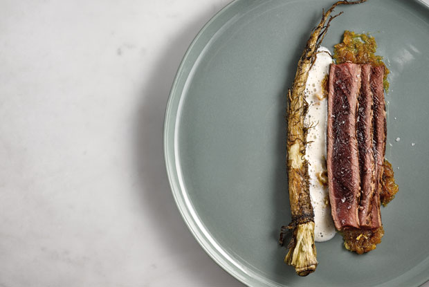 TEGUI-LATAM-2016-DISH1