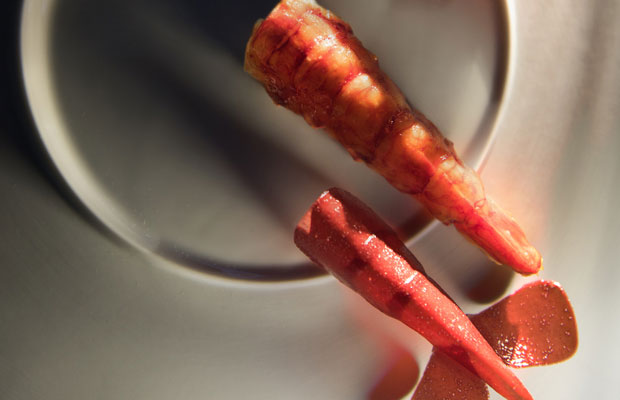 Ultraviolet-World-2018-dish2