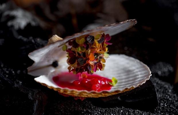 White-Rabbit-Dish-1